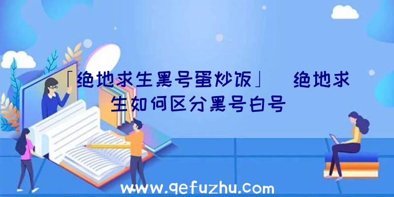 「绝地求生黑号蛋炒饭」|绝地求生如何区分黑号白号